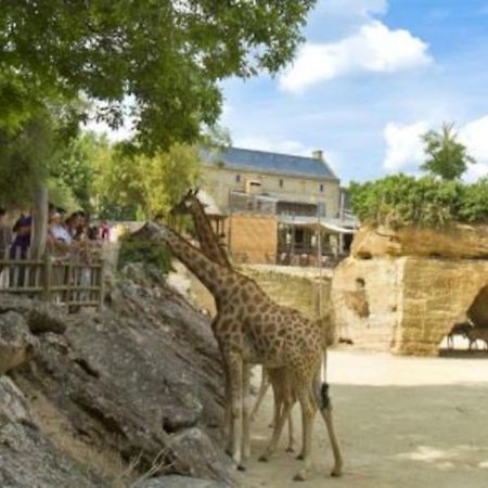 Maison 2-3 Pers Semi-Troglodyte Angers-Saumur Louresse-Rochemenier Exteriör bild